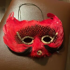 Red Mardi Gras Masquerade mask with feathers